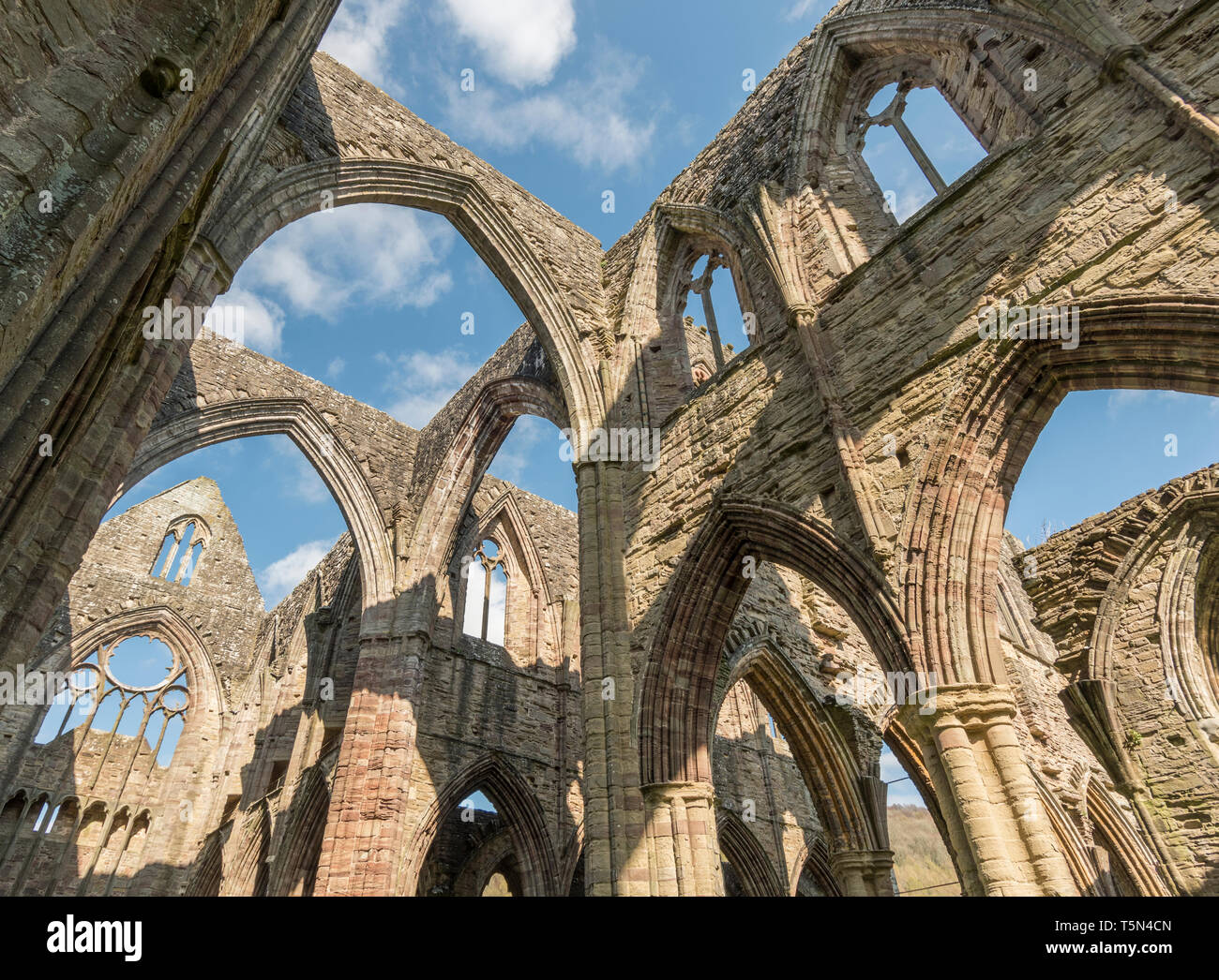 Les ruines restaurées de l'abbaye de Tintern, Monmouthshire, Wales, UK Banque D'Images