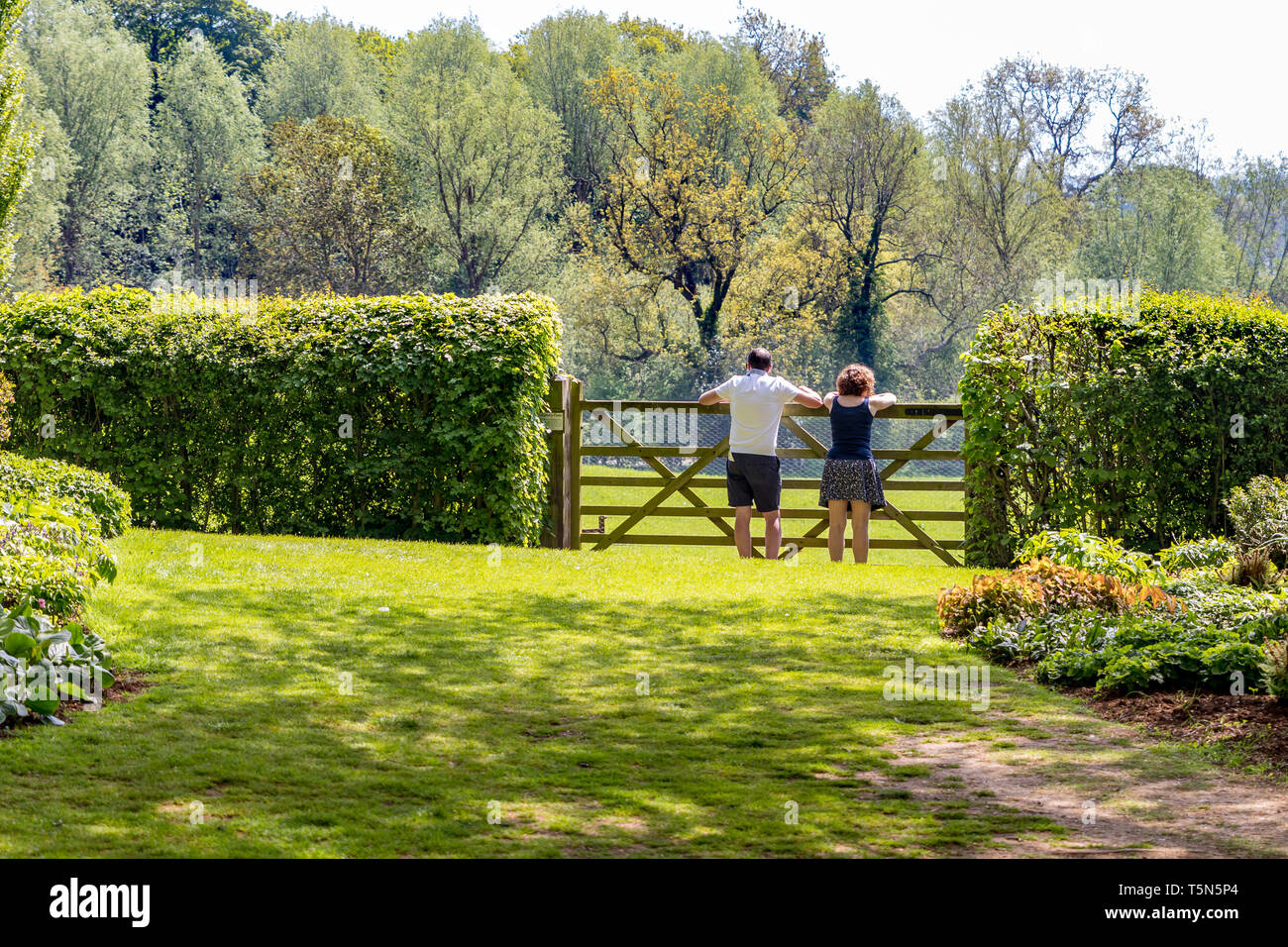 Couple leaning on ferme jusqu'à la dans la campagne anglaise dans le Northamptonshire United Kingdom Banque D'Images