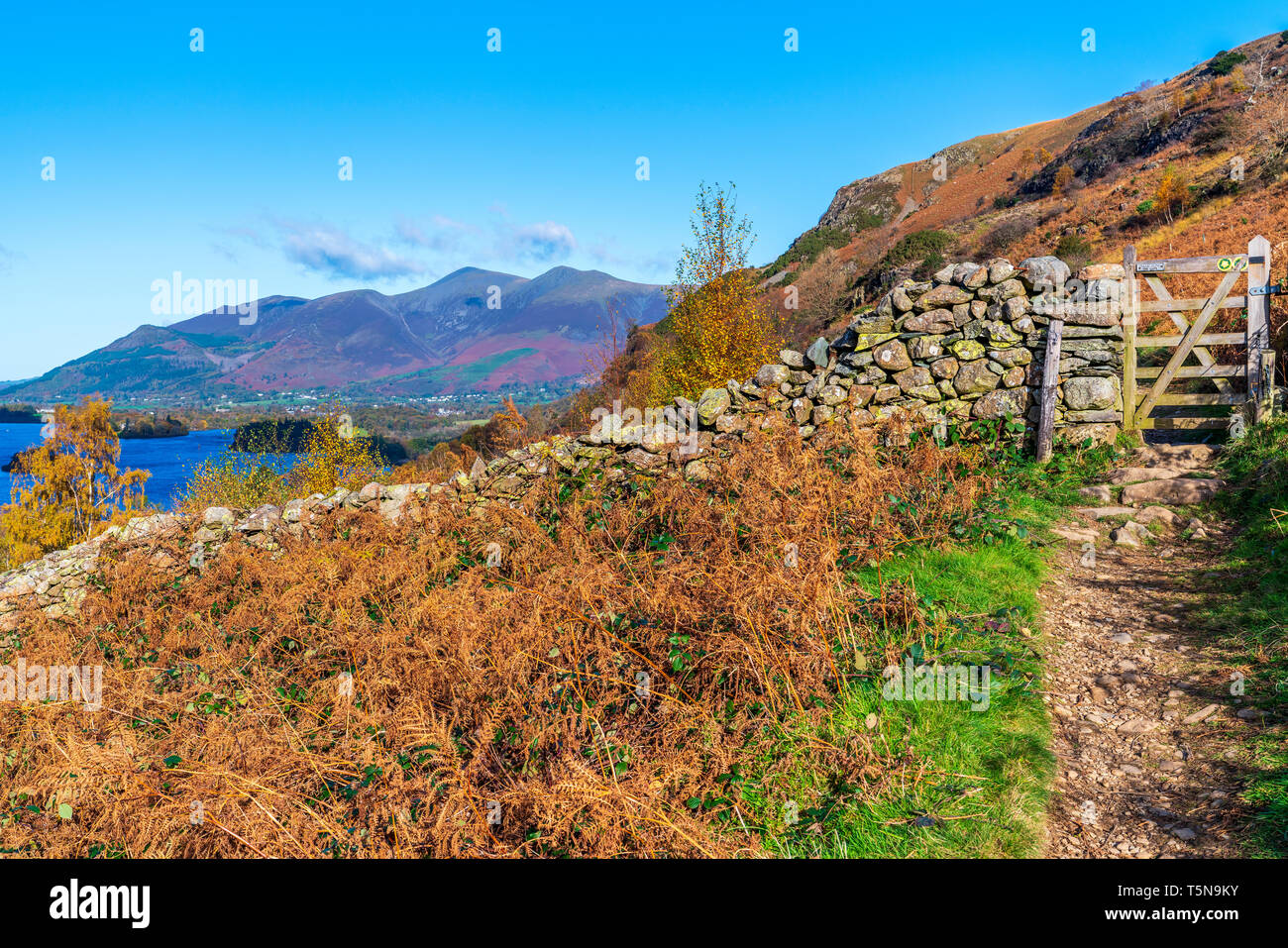 Darwent Eau, Keswick, Parc National de Lake District, Cumbria, Angleterre, Royaume-Uni, Europe. Banque D'Images