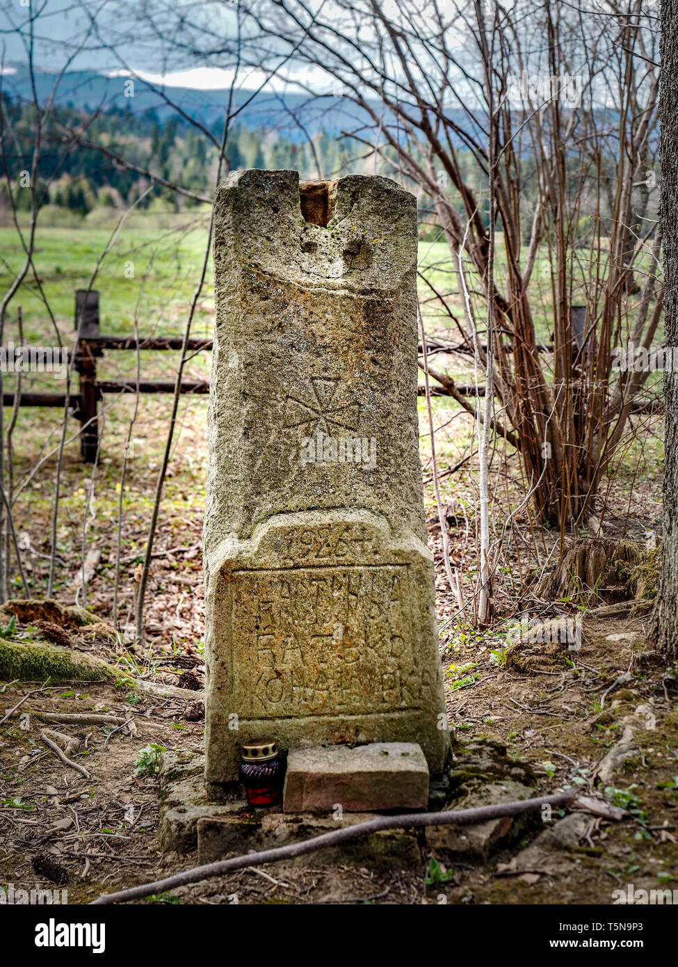 Oublié tombe de l'ancien cimetière à Beniowa village. Site historique, comté de Bieszczady, la Ruthénie Subcarpatique Voivodeship, Pologne Banque D'Images Oublié tombe de l'ancien cimetière à Beniowa village. Site historique, comté de Bieszczady, la Ruthénie Subcarpatique Voivodeship, Pologne Banque D'Images