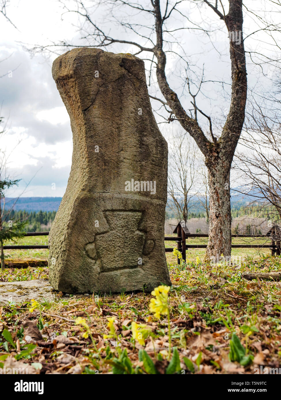 Grave marqué avec le Parc National de Bieszczady Beniowa pot Pologne Europe. Ancien cimetière. Vestiges de l'ancien village qui n'existe pas à proximité de l'Ukraine Banque D'Images Grave marqué avec le Parc National de Bieszczady Beniowa pot Pologne Europe. Ancien cimetière. Vestiges de l'ancien village qui n'existe pas à proximité de l'Ukraine Banque D'Images