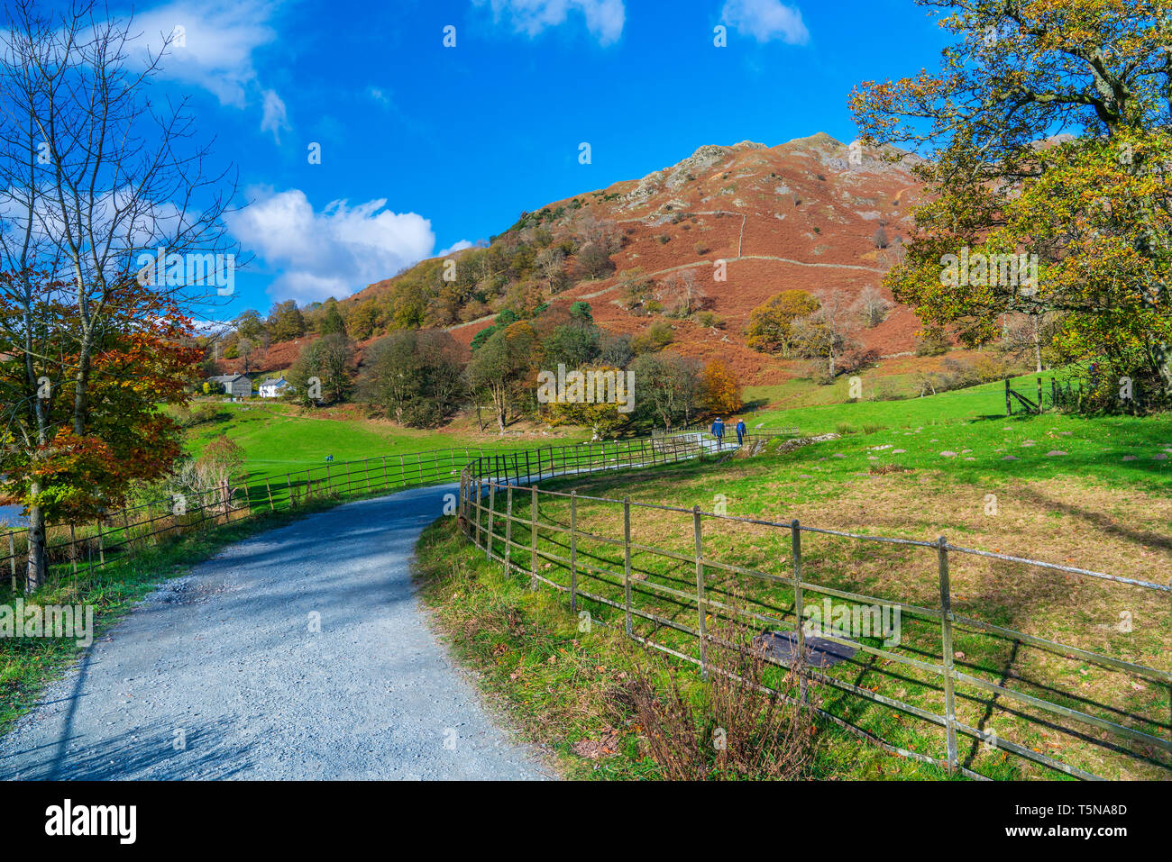 Loughrigg Tarn Lake Road, Parc National de Lake District, Cumbria, Angleterre, Royaume-Uni, Europe. Banque D'Images