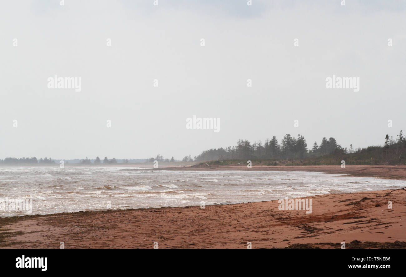 Prince Edward Island Plage avec sable rouge Banque D'Images