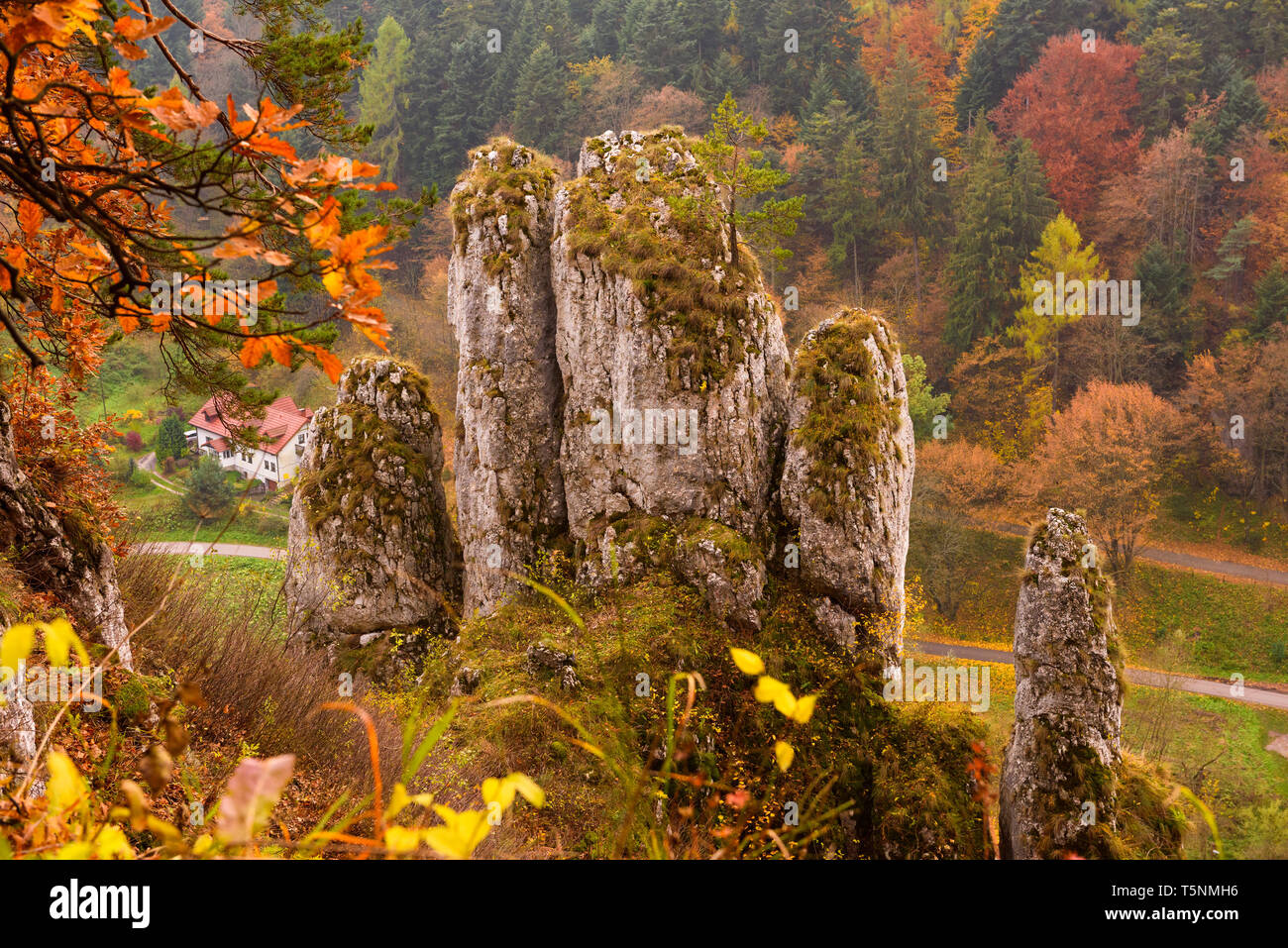 Rock comme altérés, appelé le palm doigts main blanche rock, à Ojcow nathional park près de Cracovie, Pologne Banque D'Images