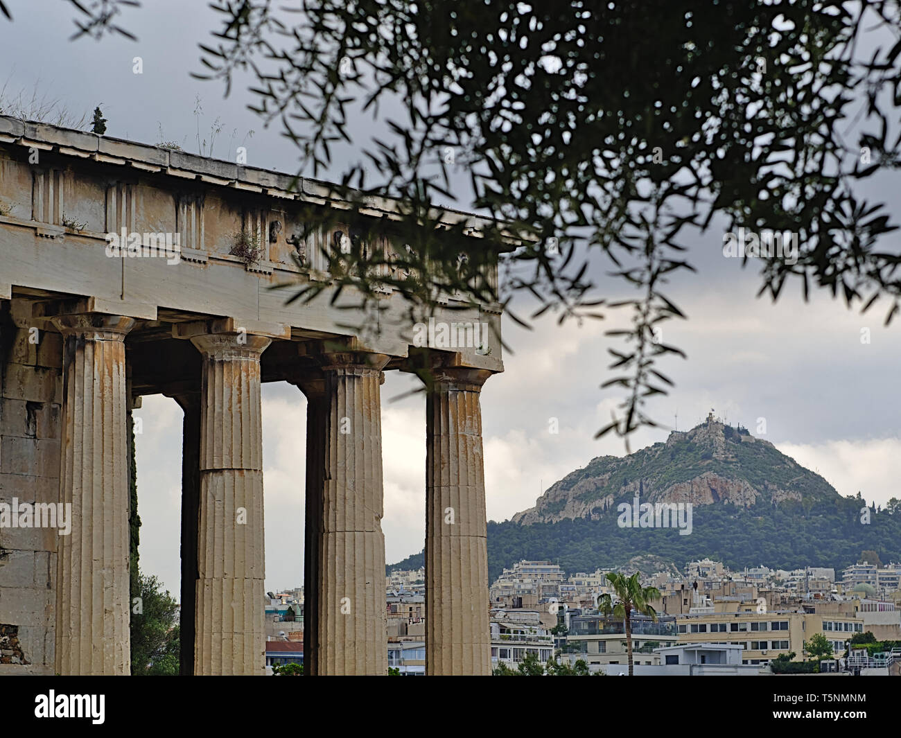 Détail du temple d'Héphaïstos à Athènes, Grèce. La colline du Lycabette et bâtiment de ville en arrière-plan. Des problèmes de mise au point des feuilles de l'olivier dans l'foregr Banque D'Images