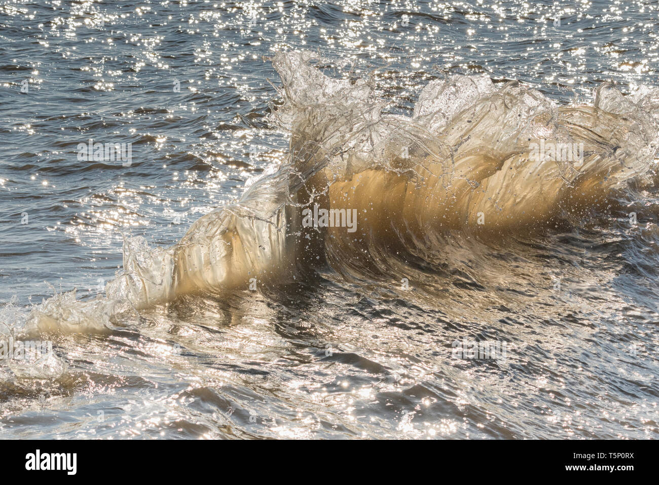 Le fracas des vagues en arrière-éclairé par le soleil du matin Banque D'Images