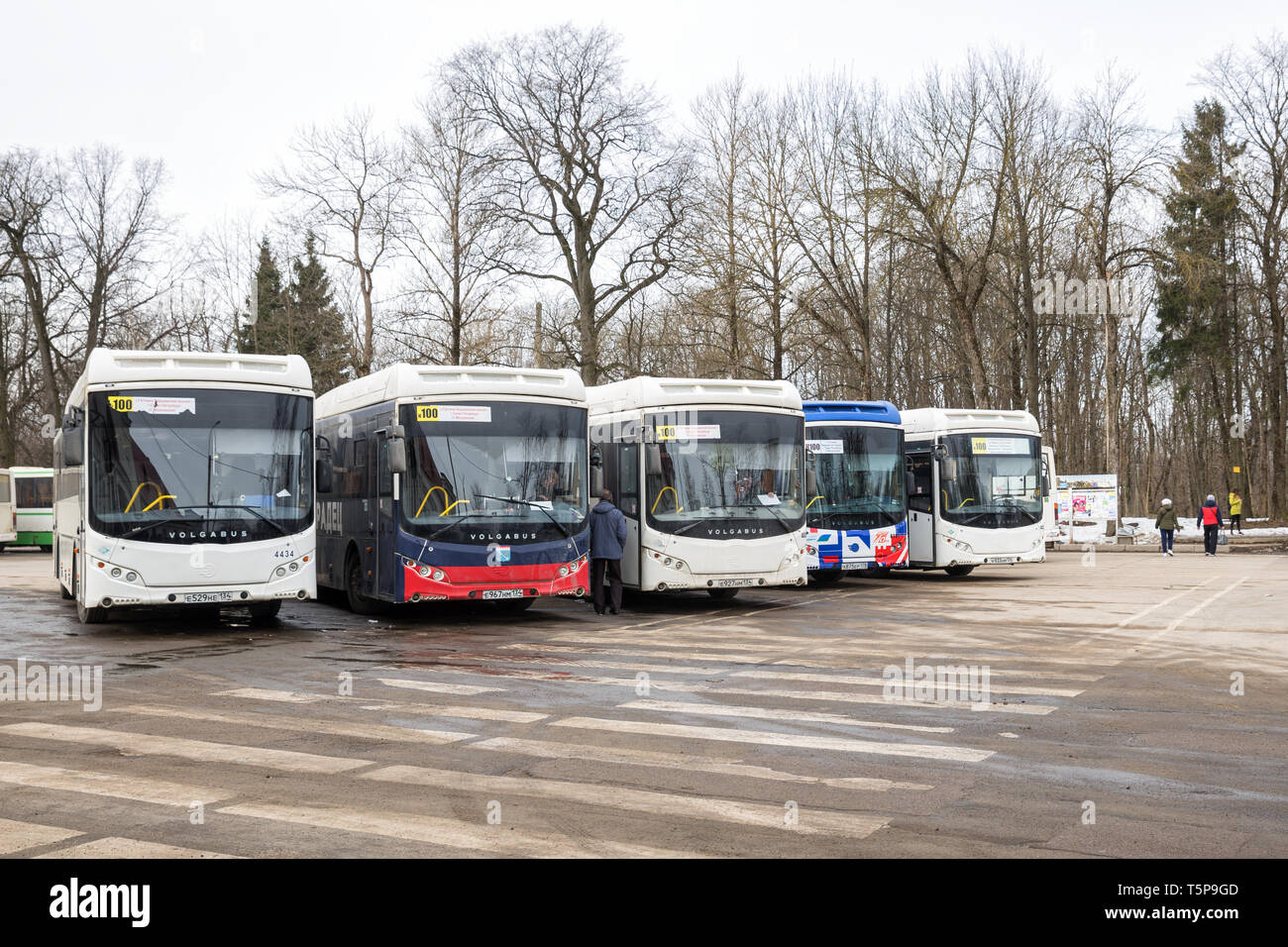 GATCHINA, dans la région de Leningrad, Russie - le 28 mars 2019 : : parking des autobus interurbains de la route 100 à partir de Gatchina à Saint-Pétersbourg à la place de la gare Banque D'Images