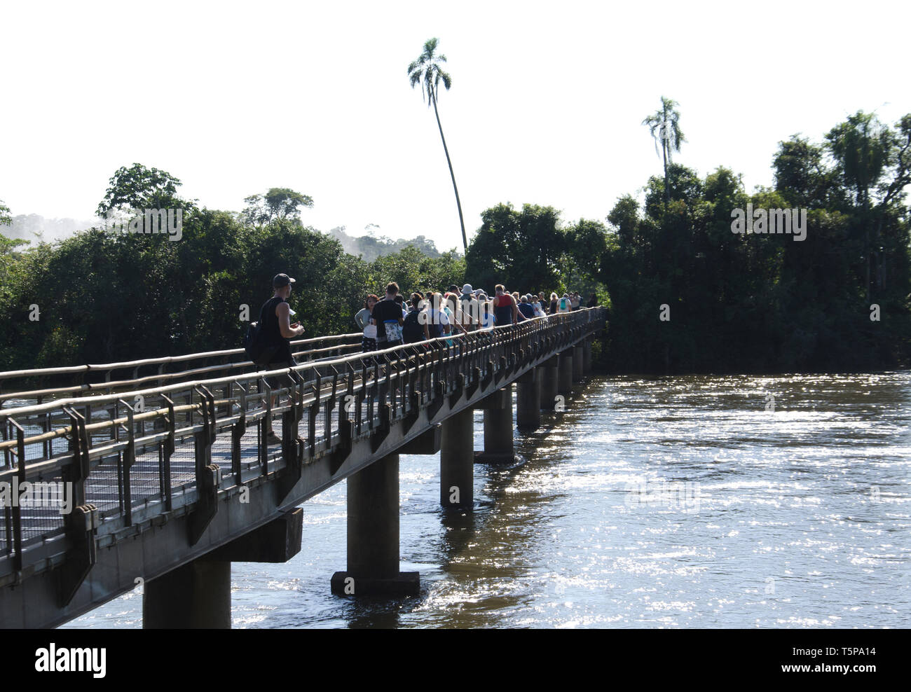 Les touristes sur le chemin vers le puissant chutes d'Iguazú, à la frontière avec le Brésil Argenrtina Banque D'Images