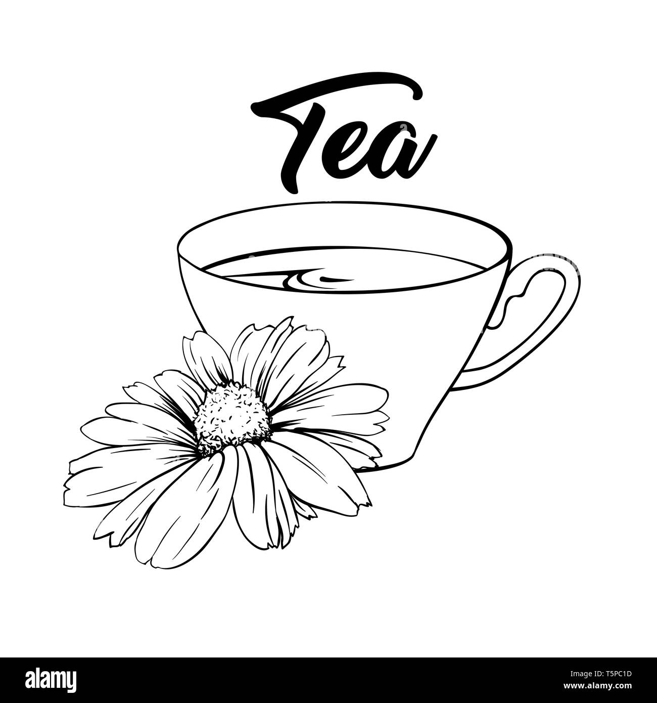 Céramique ou porcelaine tasse de thé. Camomille ou Daisy Flower et thé vert. La thérapie de fines herbes. Faites un thé avec les herbes en vrac matricaire. Vector Illustration. Design de bannières, Menu de restaurant, petit-déjeuner anglais. Illustration de Vecteur