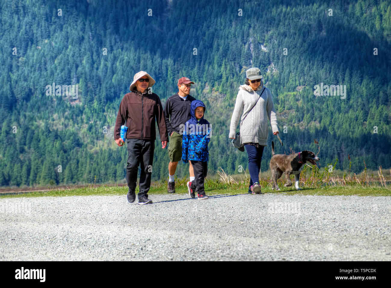 Petit groupe de personnes avec un chien à marcher le long d'une digue près de la rivière Pitt à Pitt Meadows, C.-B.), Canada Banque D'Images