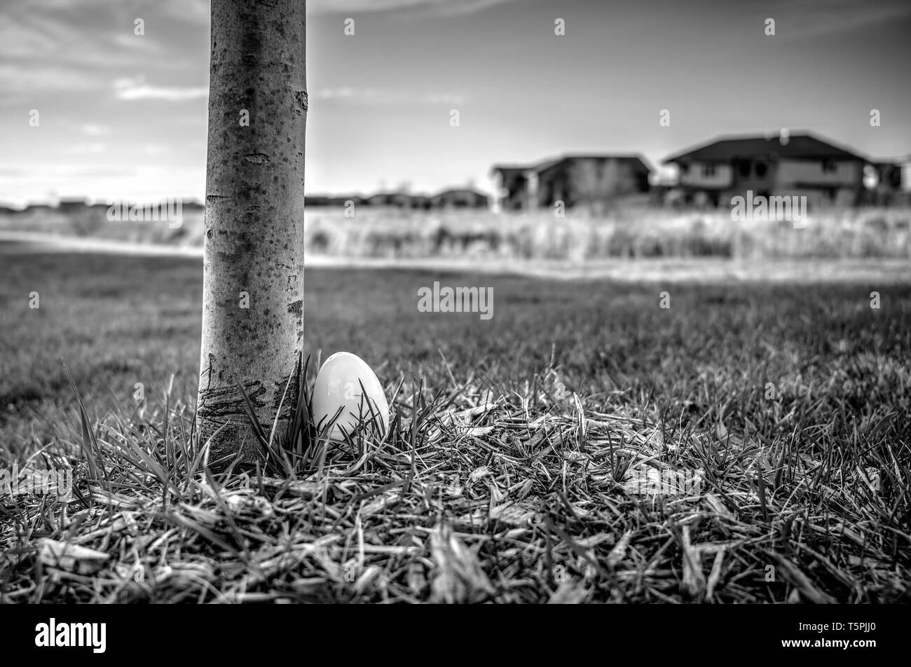 Œuf de pâques assis dans l'herbe contre un arbre Banque D'Images