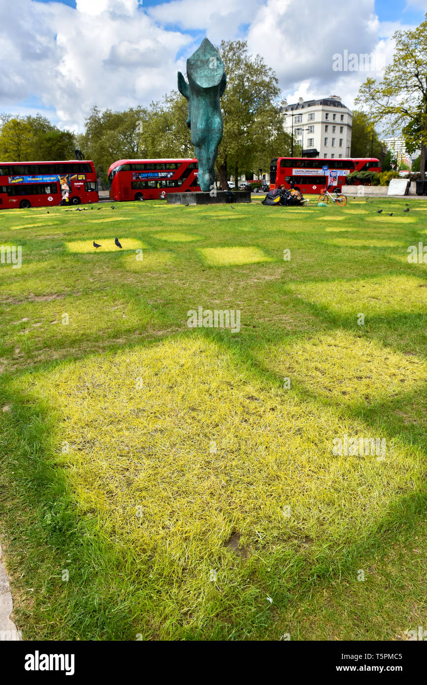 Marble Arch, London, UK. 26 avril 2019. Taches jaunes d'herbe après l'extinction des manifestants ont quitté la rébellion des tentes. Crédit : Matthieu Chattle/Alamy Live News Banque D'Images