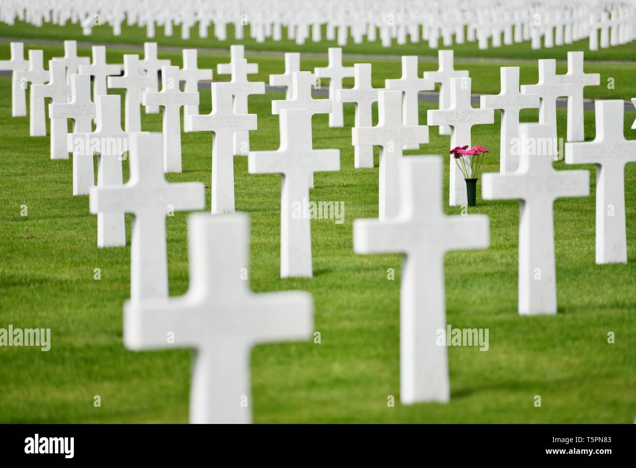 Henri Chapelle, Belgique. Apr 23, 2019. Henri-Chapelle American Cemetery and Memorial, en Belgique, près de ville de Henri-Chapelle, 23. Avril 2019. Henri-Chapelle American Cemetery and Memorial est une seconde guerre mondiale guerre cimetière militaire américain tombe. C'est l'un des trois cimetières de guerre américain en Bel | utilisée dans le monde entier : dpa Crédit/Alamy Live News Banque D'Images