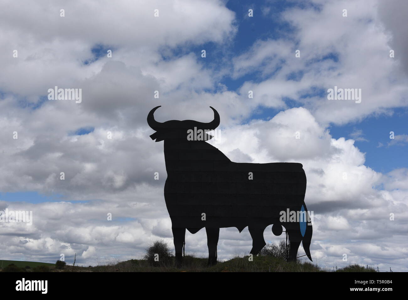 Le symbole 'espagnol' Osborne bull est vu près d'un petit village d'Torrremocha, centre de l'Espagne. En Espagne les électeurs se rendront aux urnes le dimanche, 28 avril 2019 à voter. C'est la troisième élection générale du pays en quatre ans et la 13e élection générale depuis la transition démocratique résultant de la Constitution de 1978. Il y a cinq parties principales : les deux partis traditionnels sont en PP de droite et de centre-gauche du parti PSOE, parti de droite ainsi que des citoyens et l'aile gauche Podemos, et le cinquième est le parti d'extrême droite VOX. Banque D'Images