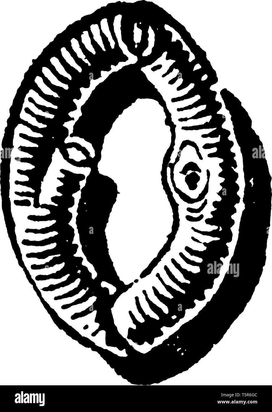 Une lettre O lettre rustique en design, dessin de ligne vintage ou gravure illustration Illustration de Vecteur