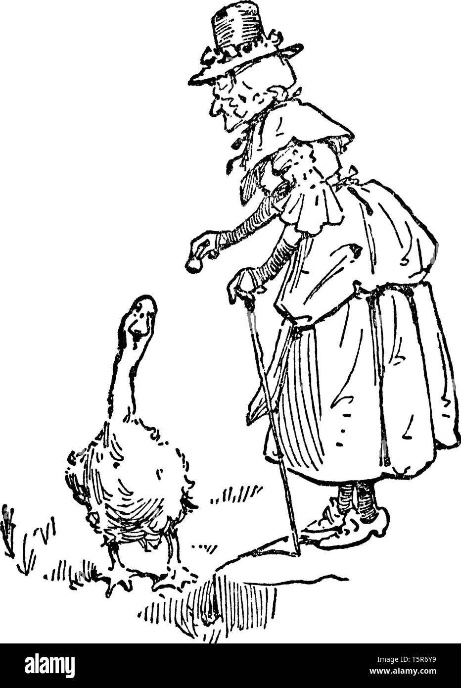 Une vieille femme avec oiseau oie alimentation canne vintage, dessin ou gravure illustration Illustration de Vecteur