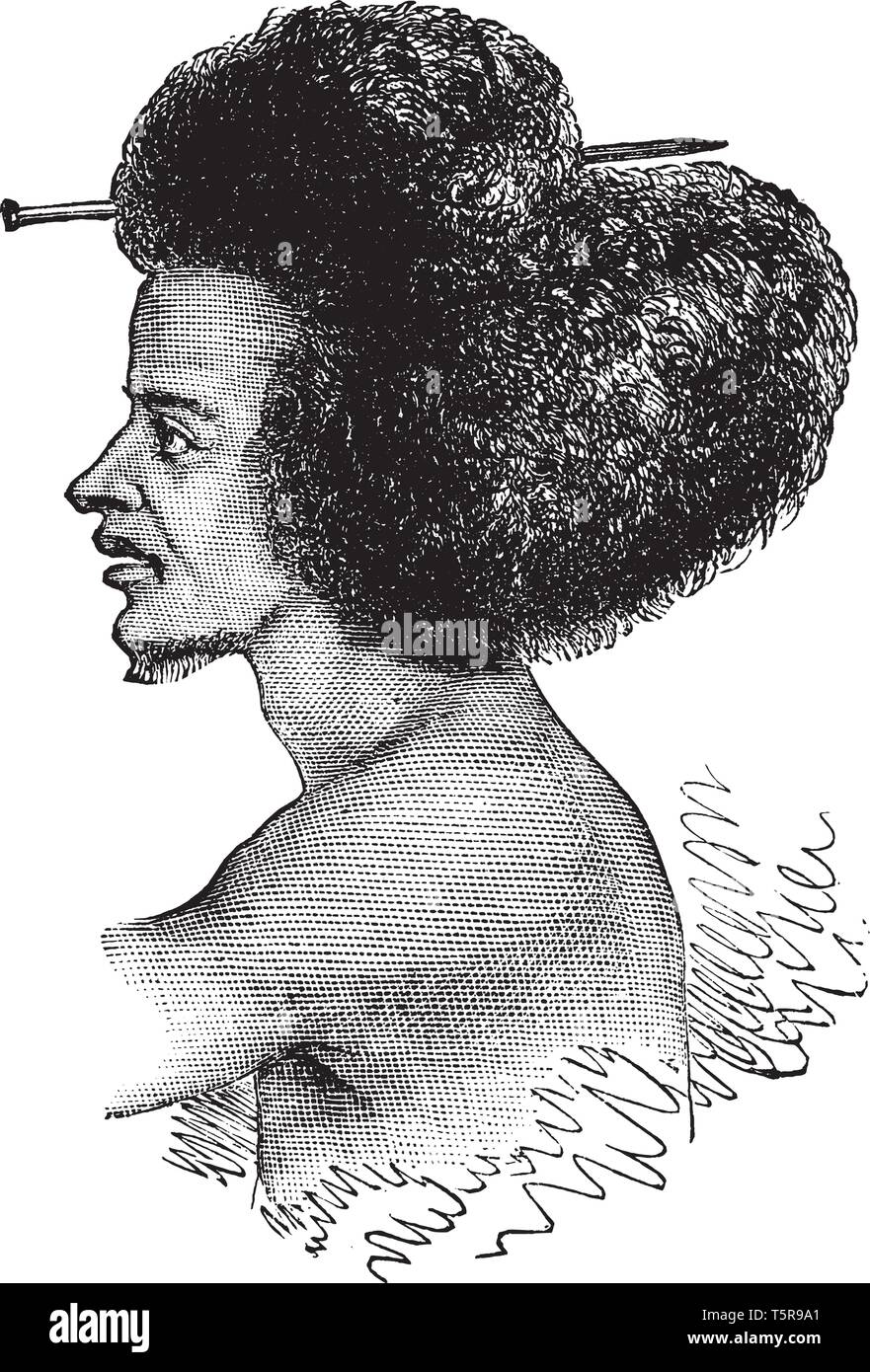 Un guerrier d'Abyssinie, vintage dessin ou gravure illustration Illustration de Vecteur