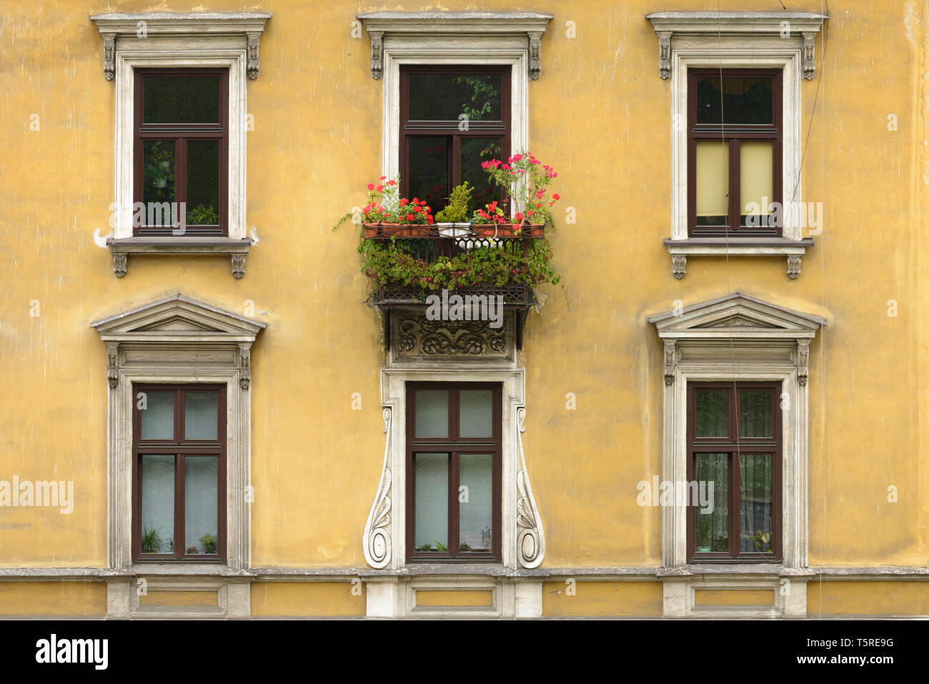 Un immeuble jaune à Cracovie, Pologne. Banque D'Images