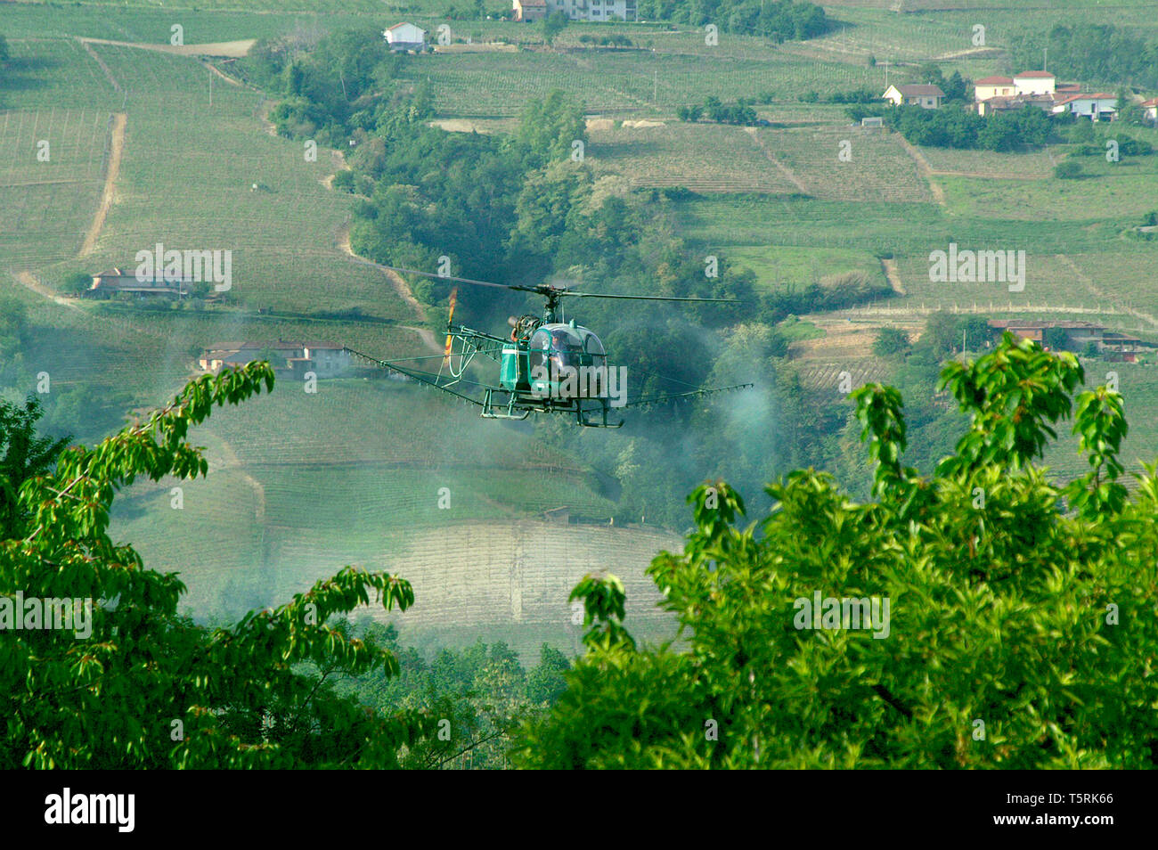Les besoins de la photo. La pulvérisation aérienne d'archives en hélicoptère sur les vignobles, de l'Italie. Banque D'Images