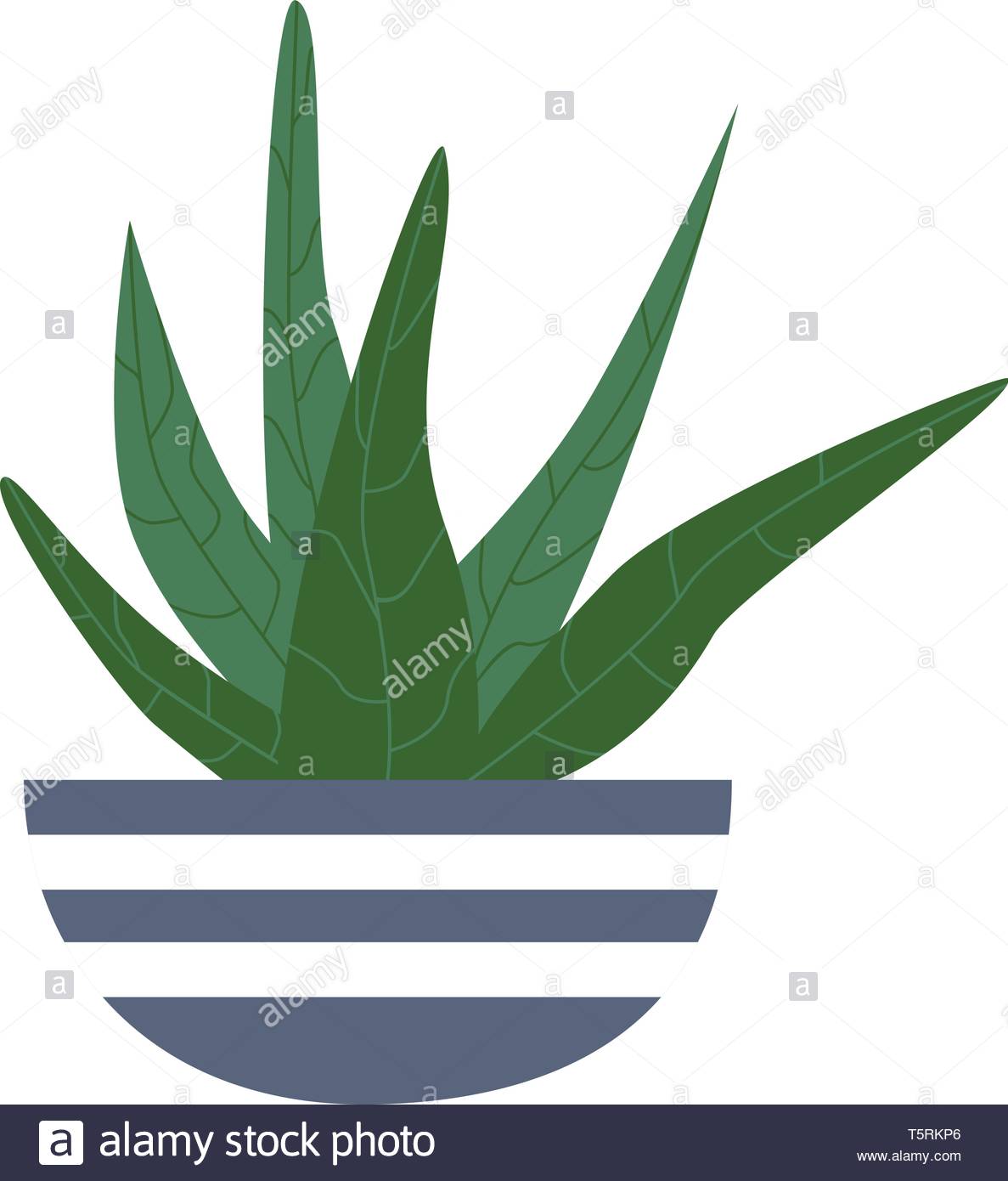 Plante Exotique Dans Un Pot De Fleur Télévision Vector