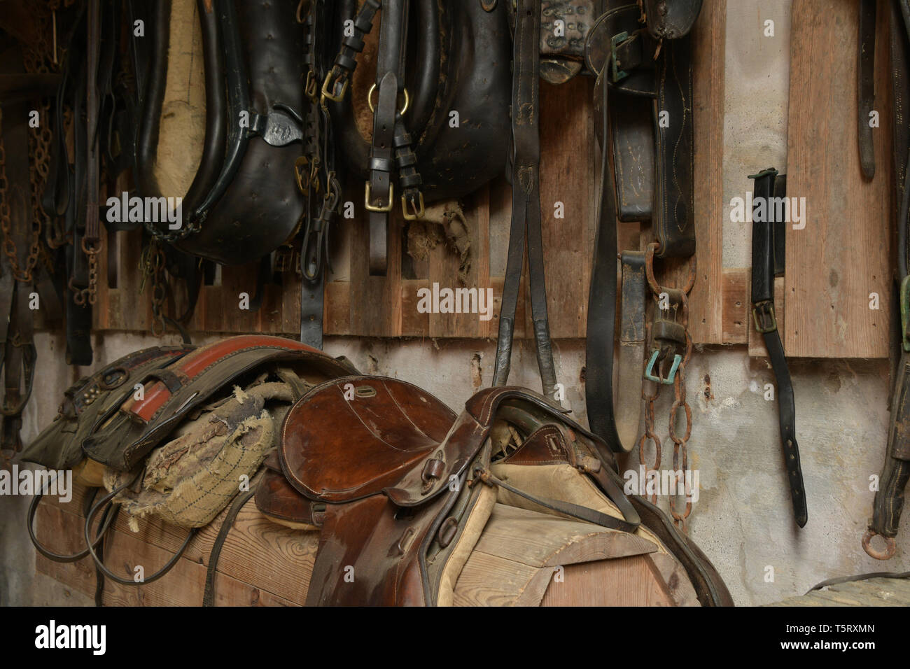 Sellerie éléments qui composent le groupe de colliers de cheval,harnais de cuir et de selles dans les écuries du milieu 18e siècle, située à l'hôtel Hampton Ho Banque D'Images