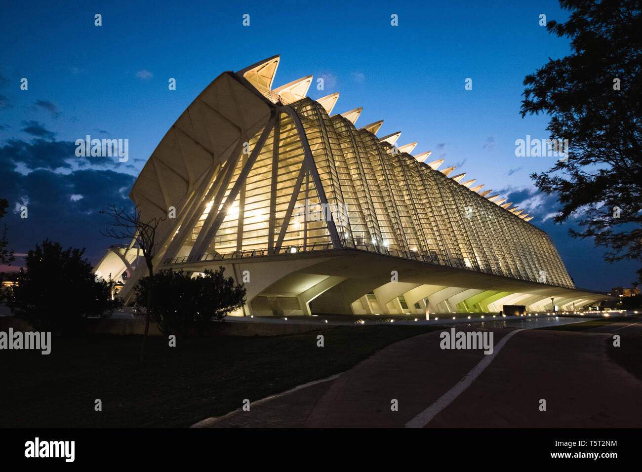 Valence, Espagne. Le 3 avril 2019. Une vue de la nuit du Musée des Sciences de Valence Banque D'Images