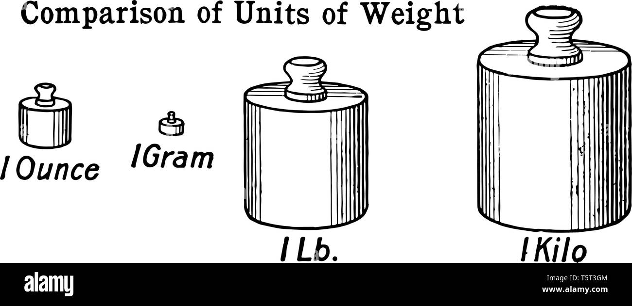 Dans l'image, le unités fondamentales de la mesure d'onces, kilogramme, grammes et livres ont été comparés, vintage dessin ou gravure j Illustration de Vecteur