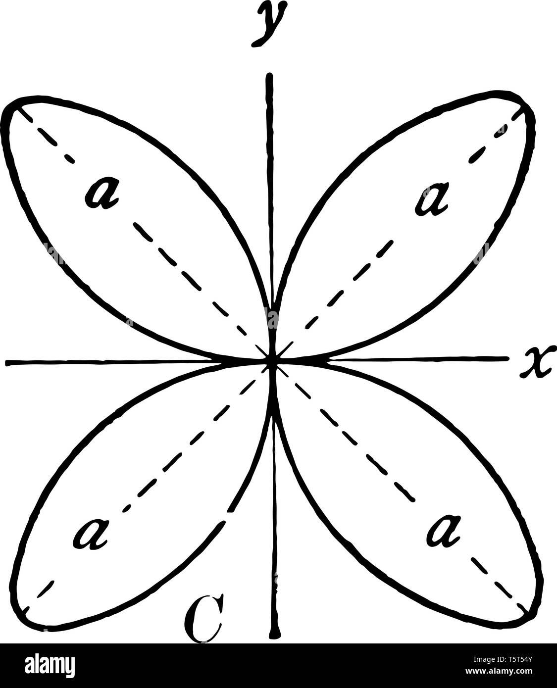 Il y a quatre pétales qui ont une forme elliptique. L'arbre passe à travers le pistolet de rose, vintage dessin ou gravure illustration. Illustration de Vecteur