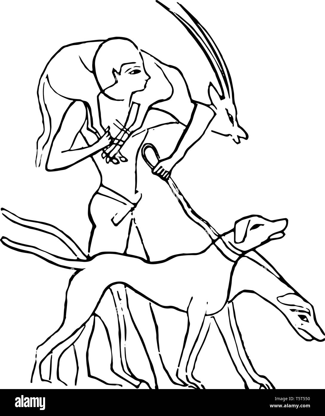 Une illustration de la manière dont hounds étaient utilisés par les Égyptiens pour chasser des proies, vintage dessin ou gravure illustration. Illustration de Vecteur