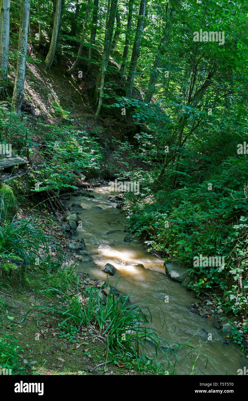 Belle vue sur les montagnes des Balkans et la rivière de la forêt avec Vrerestitsa dolkie Todorini, sous Pic, près de Klisura Monastère et Varshets town Banque D'Images
