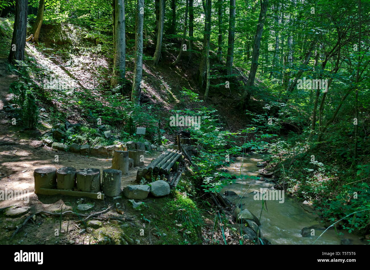 Belle vue sur les montagnes des Balkans avec forêt, Vrerestitsa la rivière et un lieu pour se relaxer à dolkie Todorini peak, près de monastère Klisura Banque D'Images