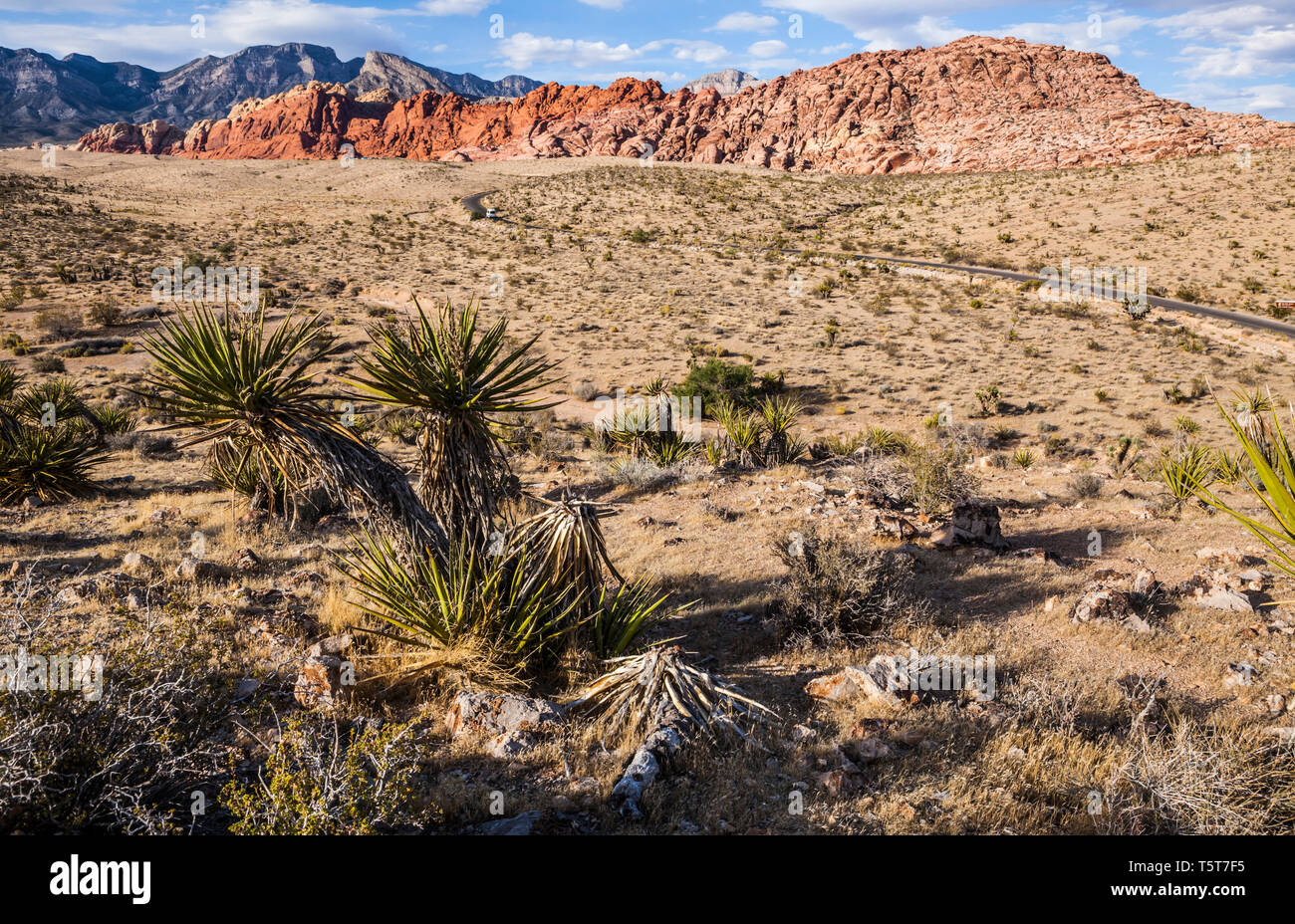 Le début de la boucle panoramique dur et le calicot Hills, Red Rock Canyon Conservation Area, Nevada, USA Banque D'Images