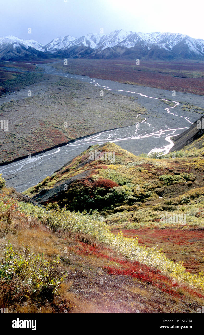 Toklat River au début de l'automne dans le Parc National Denali Banque D'Images