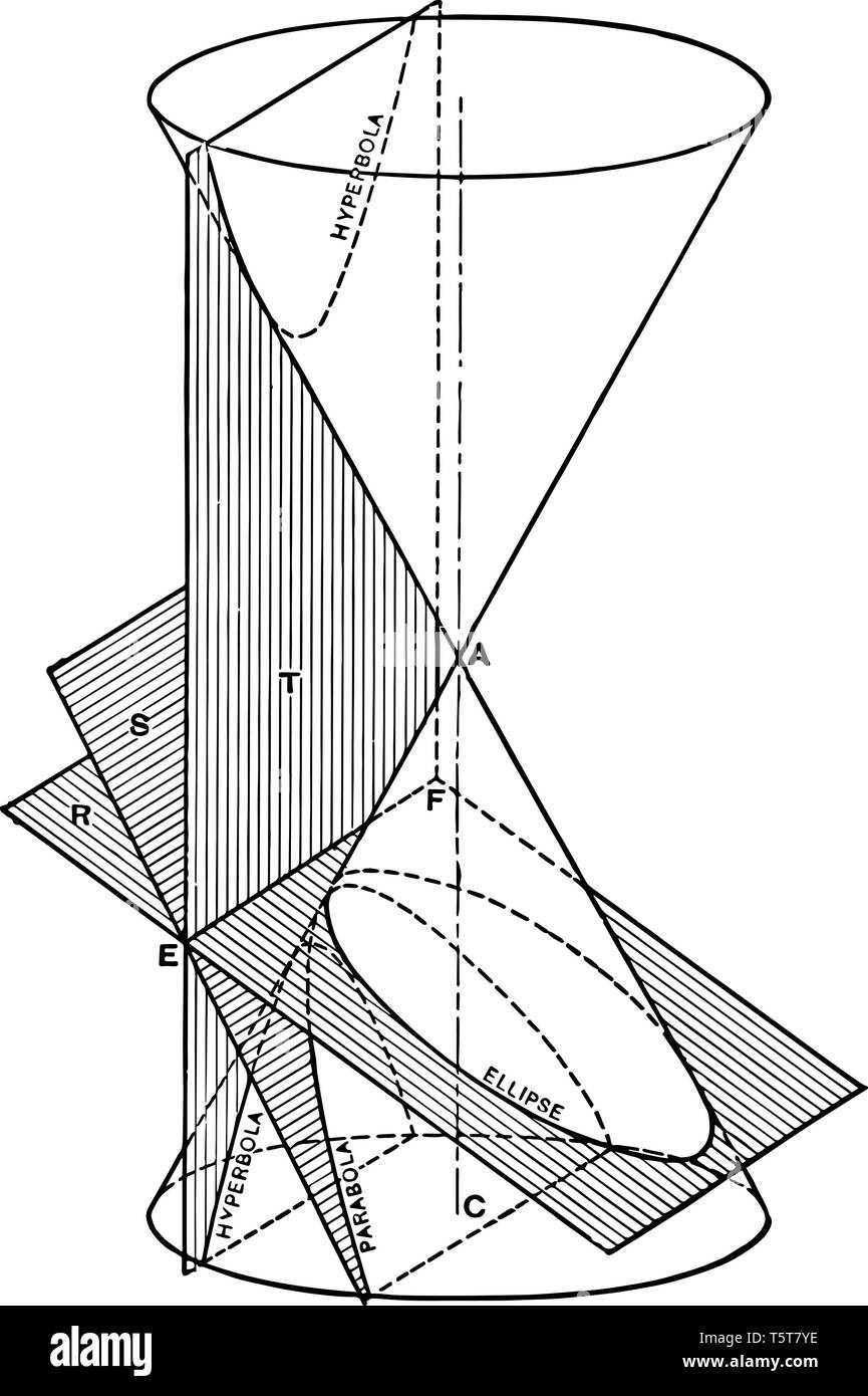 L'image montre la section conique dans le 3D avion. 3D est une configuration géométrique dans lequel trois valeurs sont nécessaires pour déterminer la position d'un Illustration de Vecteur