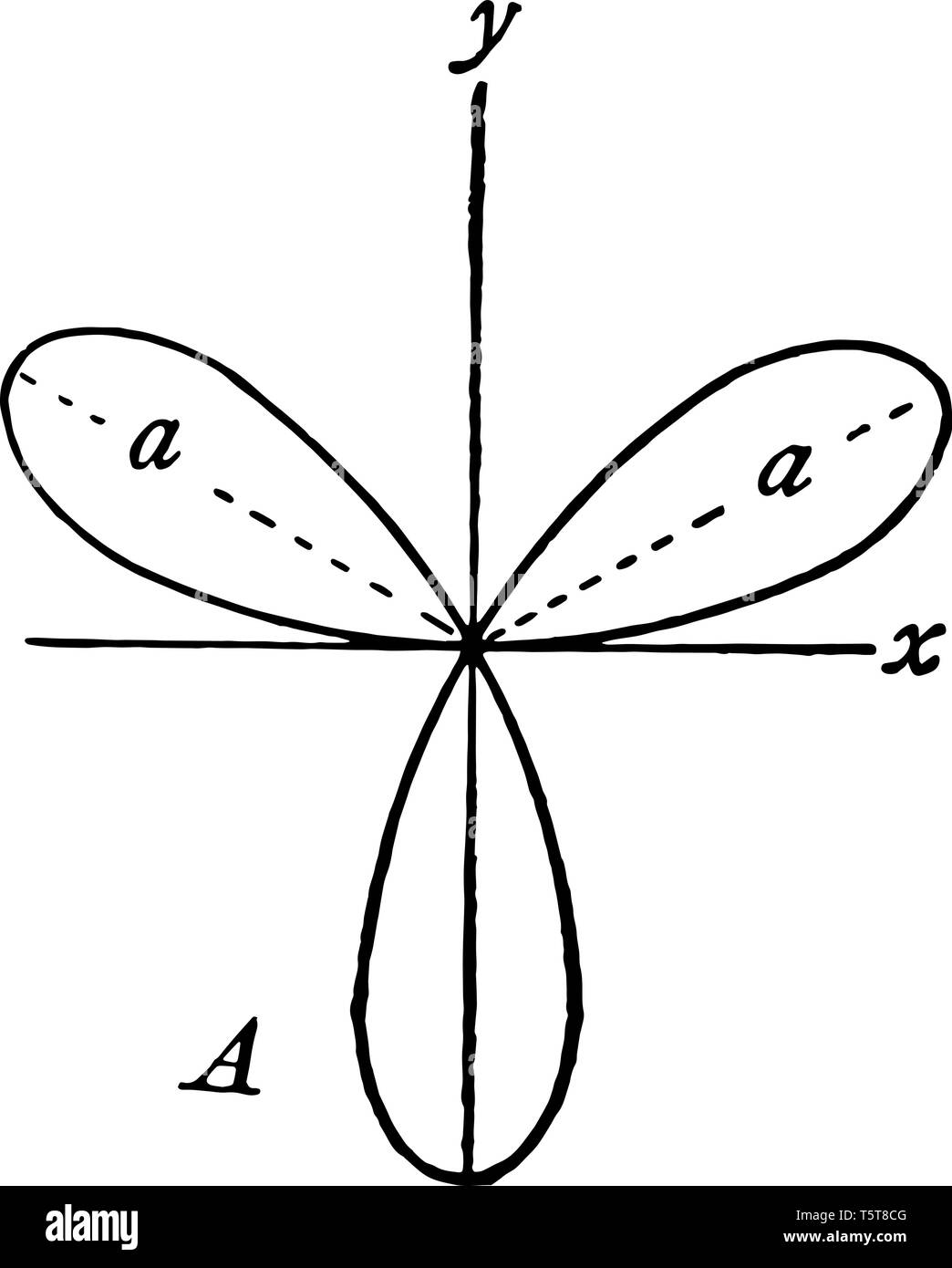 Il y a trois pétales qui ont une forme elliptique. L'arbre passe à travers le pistolet de rose, vintage dessin ou gravure illustration. Illustration de Vecteur