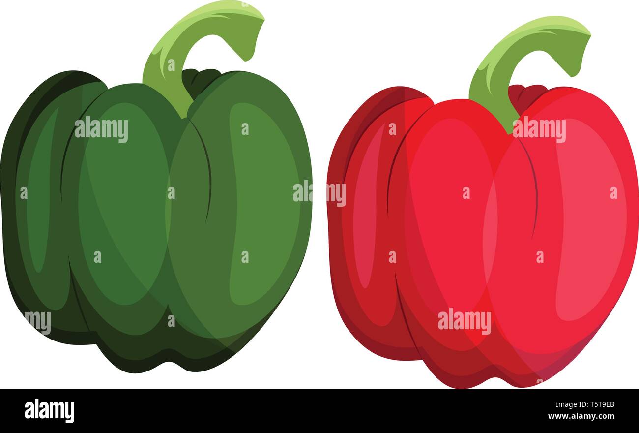 Rouge et Vert illustration vectorielle bellpepper de légumes sur fond blanc. Illustration de Vecteur