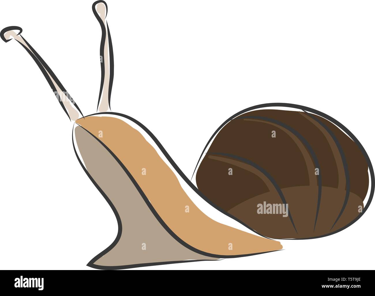 Bown simple illustration vectorielle escargot sur fond blanc. Illustration de Vecteur