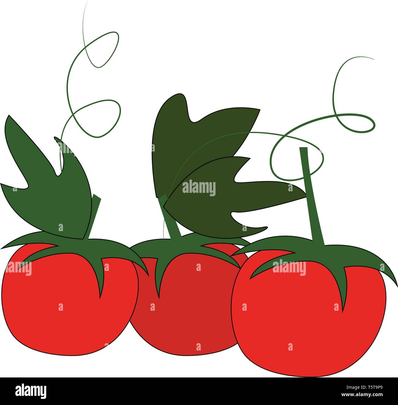 Trois tomates cerises rouges avec des feuilles vertes et petiol vector illustration sur fond blanc. Illustration de Vecteur