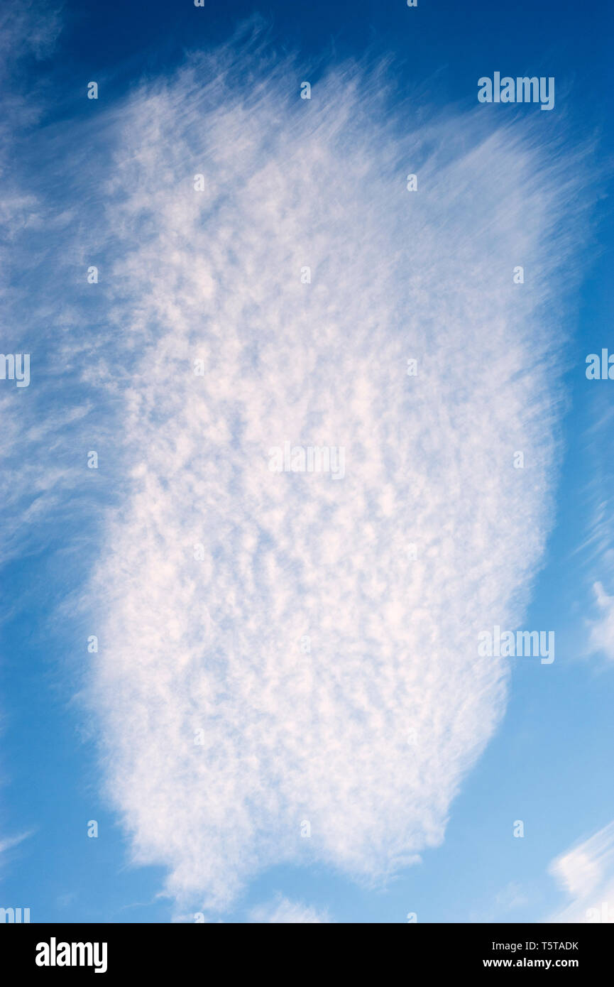 Les cirrus avec des formes inhabituelles dans le ciel bleu. Banque D'Images