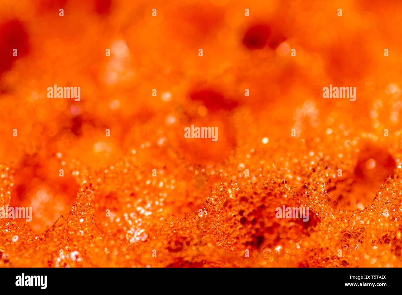 Plan macro sur une éponge de cuisine orange Banque D'Images