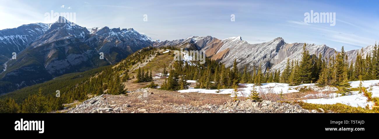 Large Vue Panoramique vue Paysage de montagne d'Exshaw Ridge Meadows Canadian Rockies lointain vert printemps pics contreforts de l'Alberta Banff National Park Banque D'Images