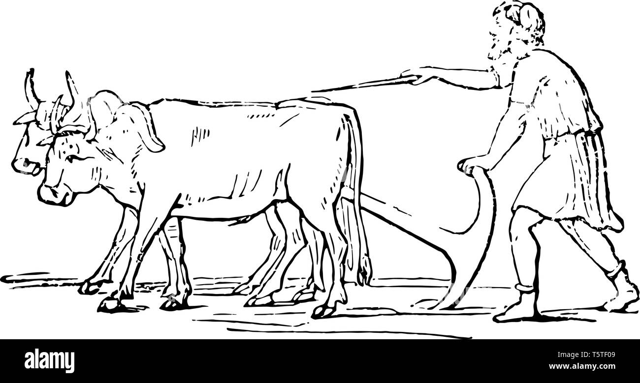 Un agriculteur et son taureau, vintage dessin ou gravure illustration. Illustration de Vecteur