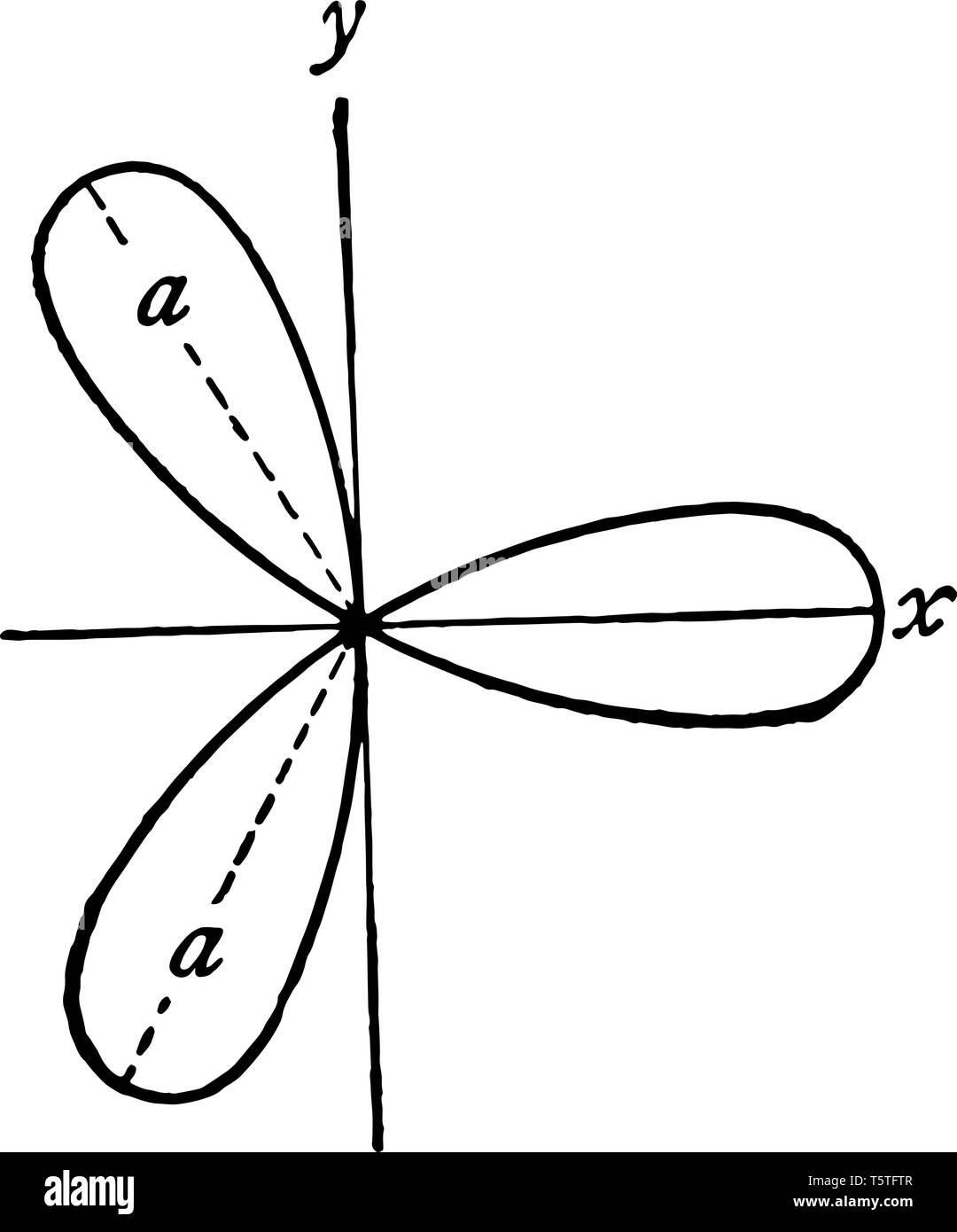 Il y a trois pétales qui ont une forme elliptique. L'arbre passe à travers le pistolet de rose, vintage dessin ou gravure illustration. Illustration de Vecteur
