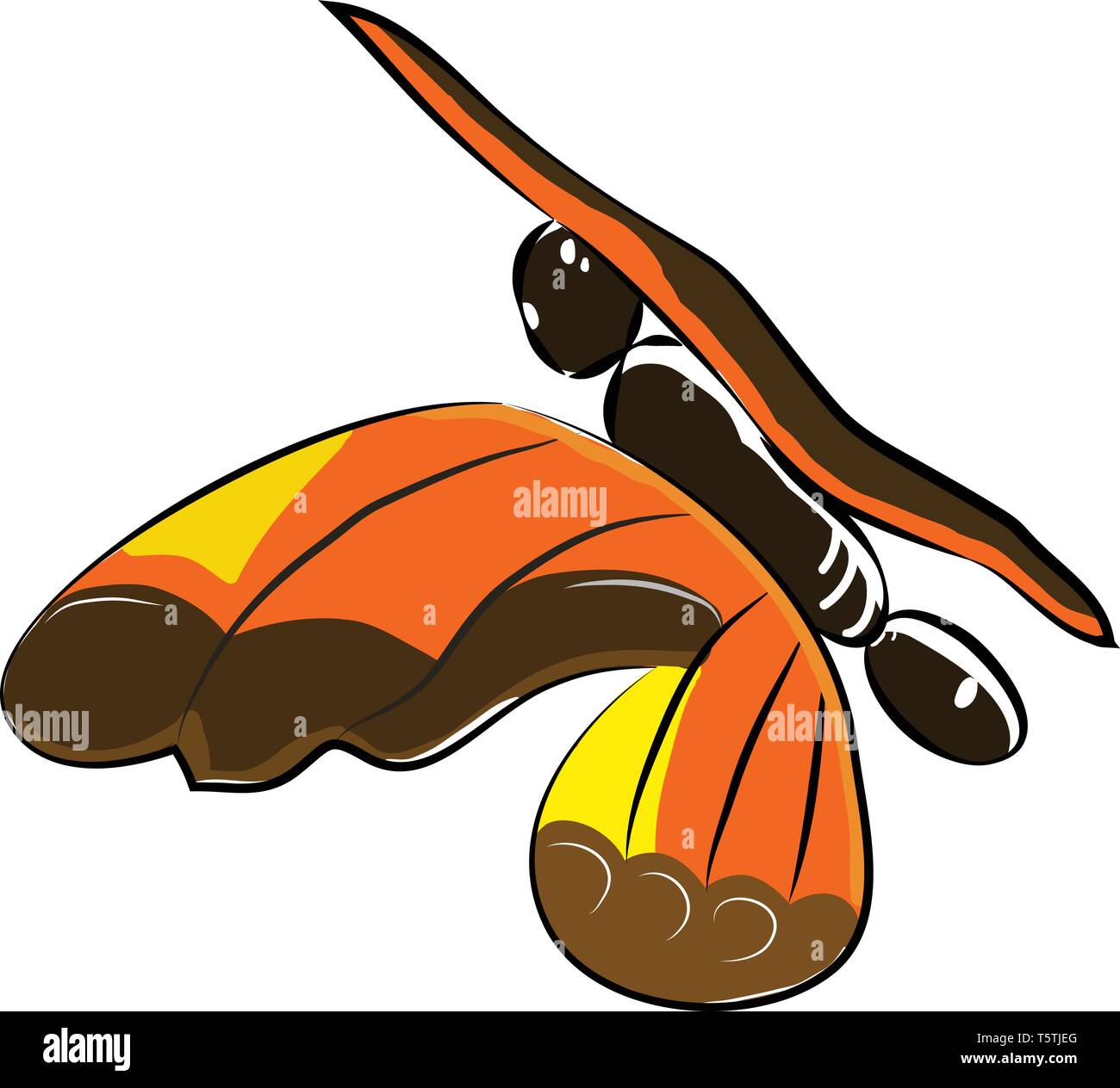 Un papillon coloré ou vecteur illustration couleur Illustration de Vecteur