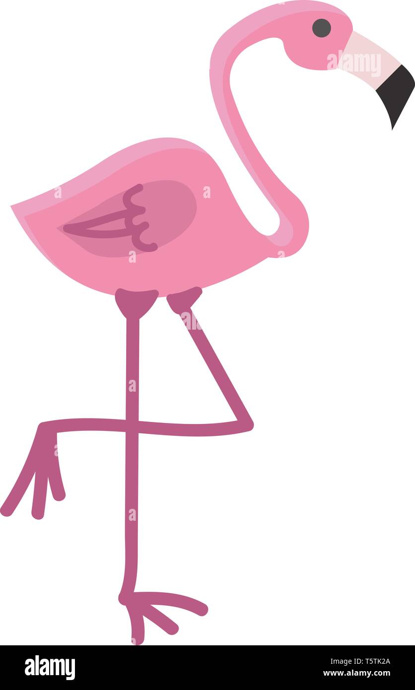 Flamingo bird illustration couleur ou vecteur permanent Illustration de Vecteur