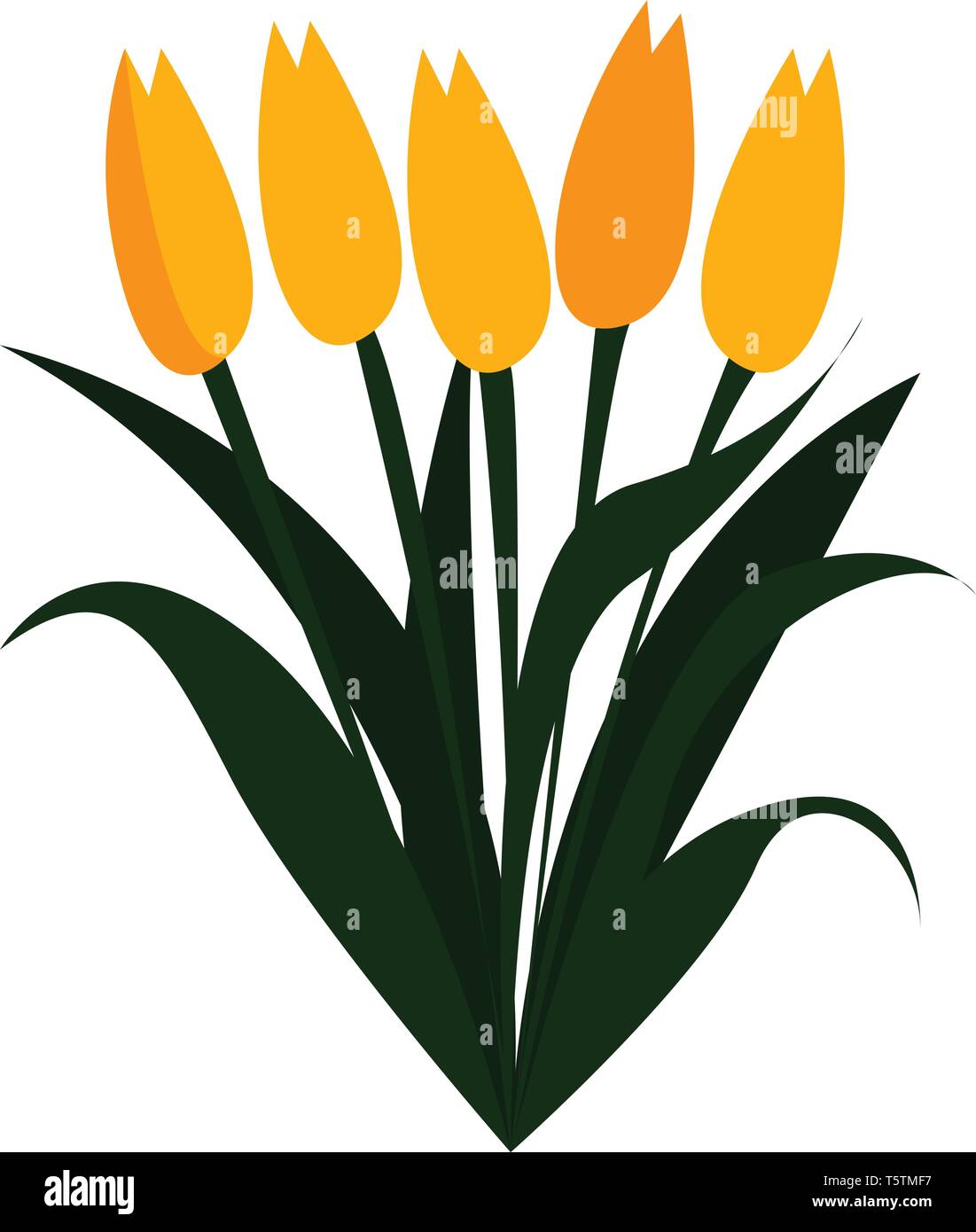 Des fleurs au printemps tulipe jaune vecteur d'impression sur fond blanc Illustration de Vecteur