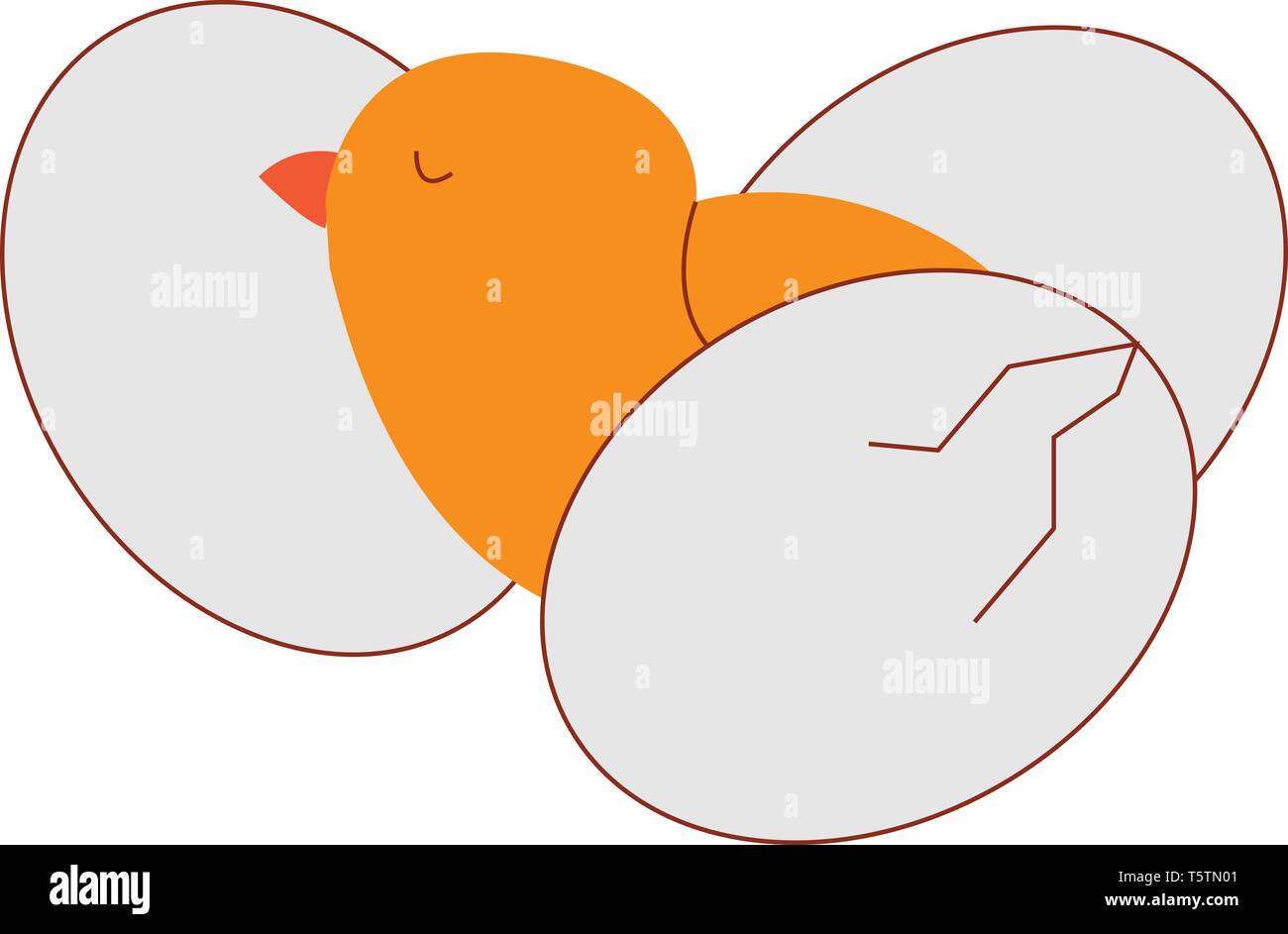 Poulet peu eggsillustration entre vecteur sur fond blanc Illustration de Vecteur Poulet peu eggsillustration entre vecteur sur fond blanc Illustration de Vecteur