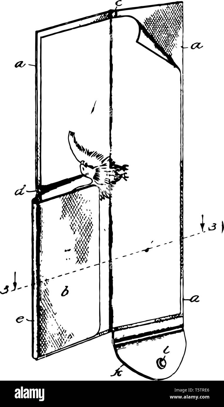Le portefeuille est une petite cause fiat utilisé pour transporter des objets personnels tels que les espèces vintage dessin ou gravure illustration. Illustration de Vecteur