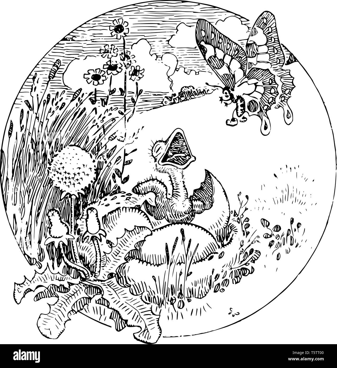 Baby Bird cette scène montre baby bird sortant de l'oeuf et qu'il est papillon battant fleurs et arbustes en arrière-plan vintage dessin ou gravure j Illustration de Vecteur Baby Bird cette scène montre baby bird sortant de l'oeuf et qu'il est papillon battant fleurs et arbustes en arrière-plan vintage dessin ou gravure j Illustration de Vecteur