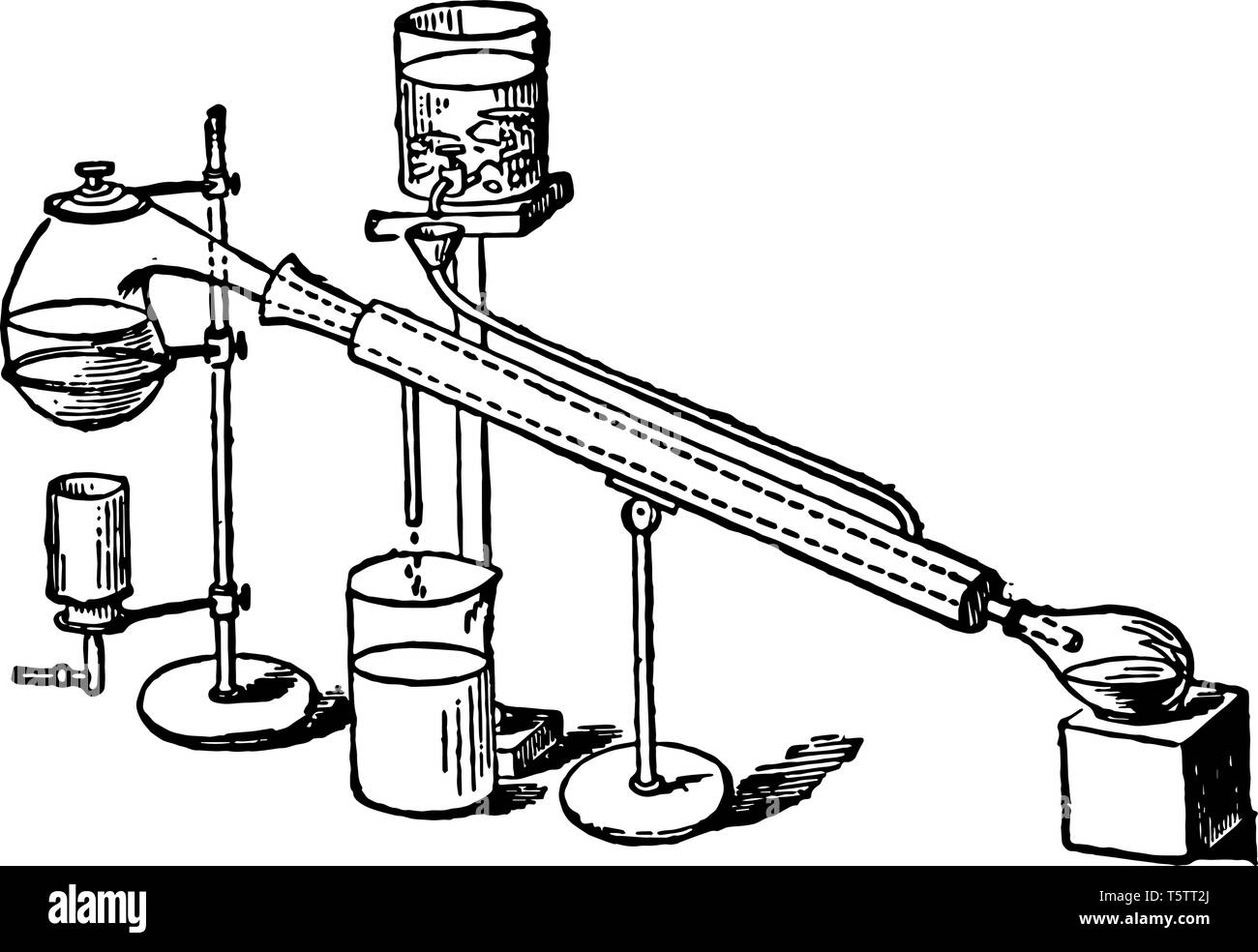 Riposte isshown ici vintage dessin ou gravure illustration. Illustration de Vecteur